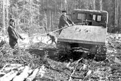 Лесозаготовка в 1970-е годы.