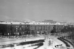 Нижний Тагил, Тагилстрой, ДК НТМК. Сейчас деревья большие. Ели.