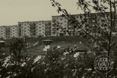 К-Камень. Дома на Шихане.